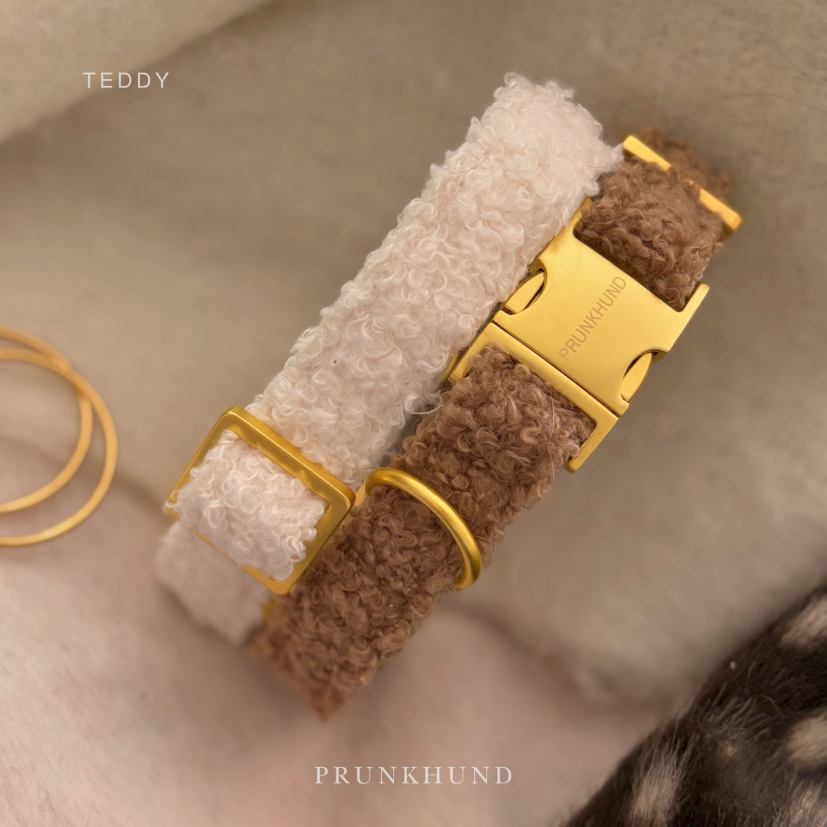 TEDDY tan collar