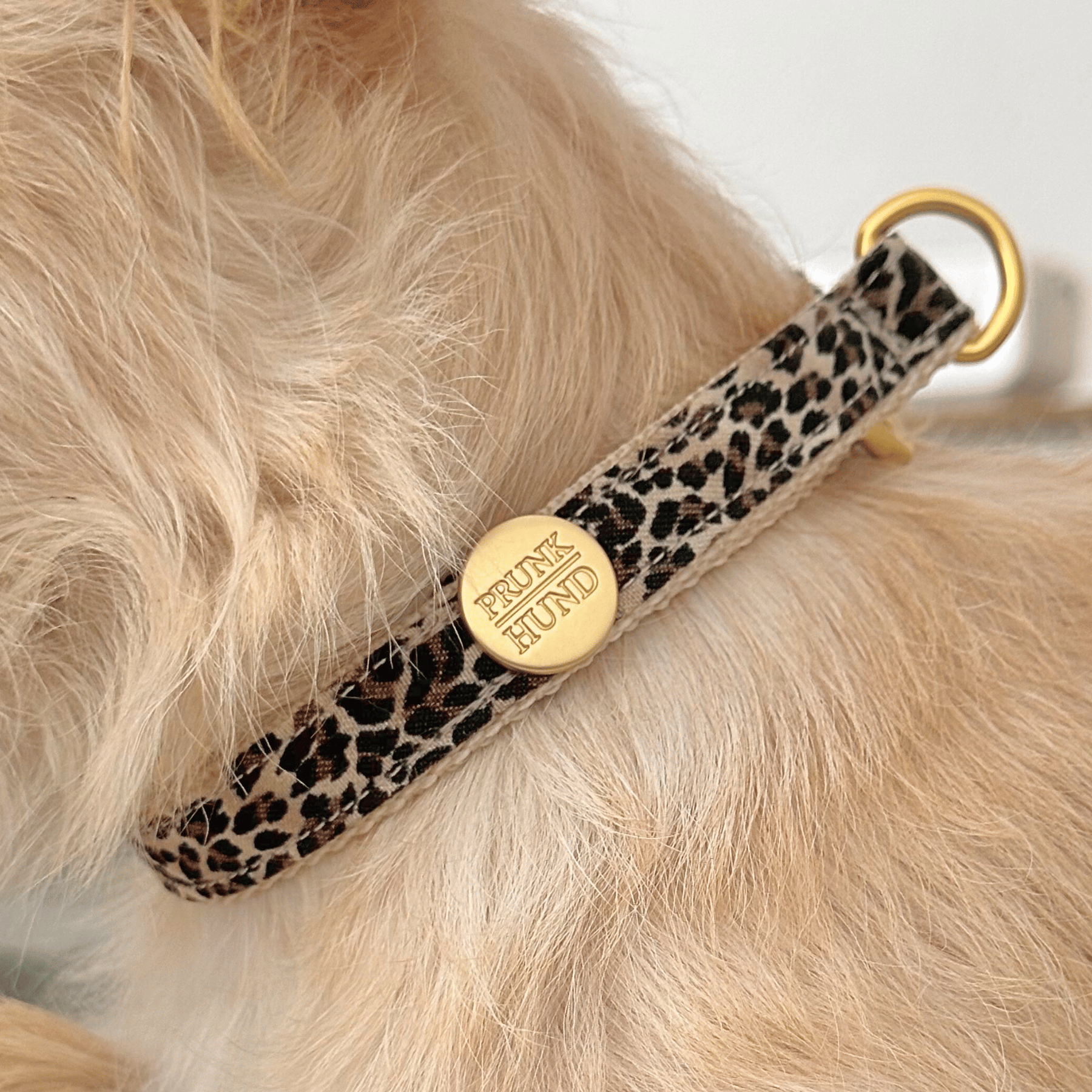 Zugstopp Halsband WILD LIFE
