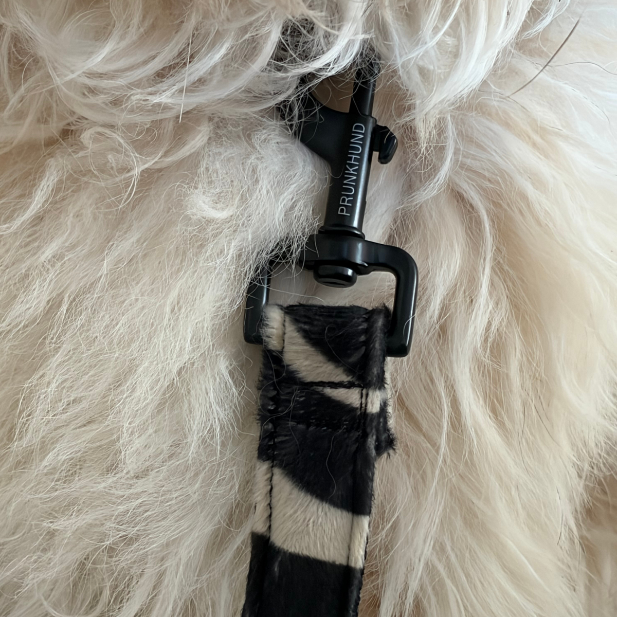leash BASIC black
