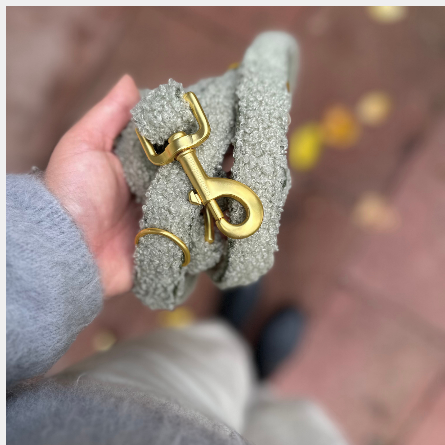 Teddy tan leash