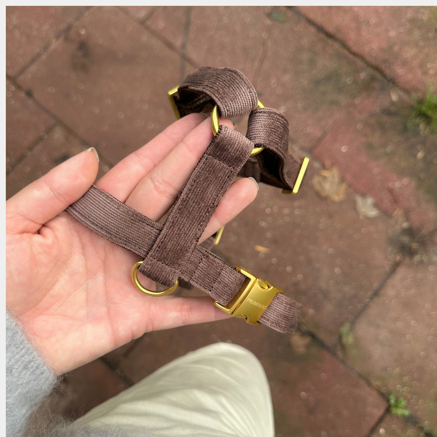 dog harness WINDSOR