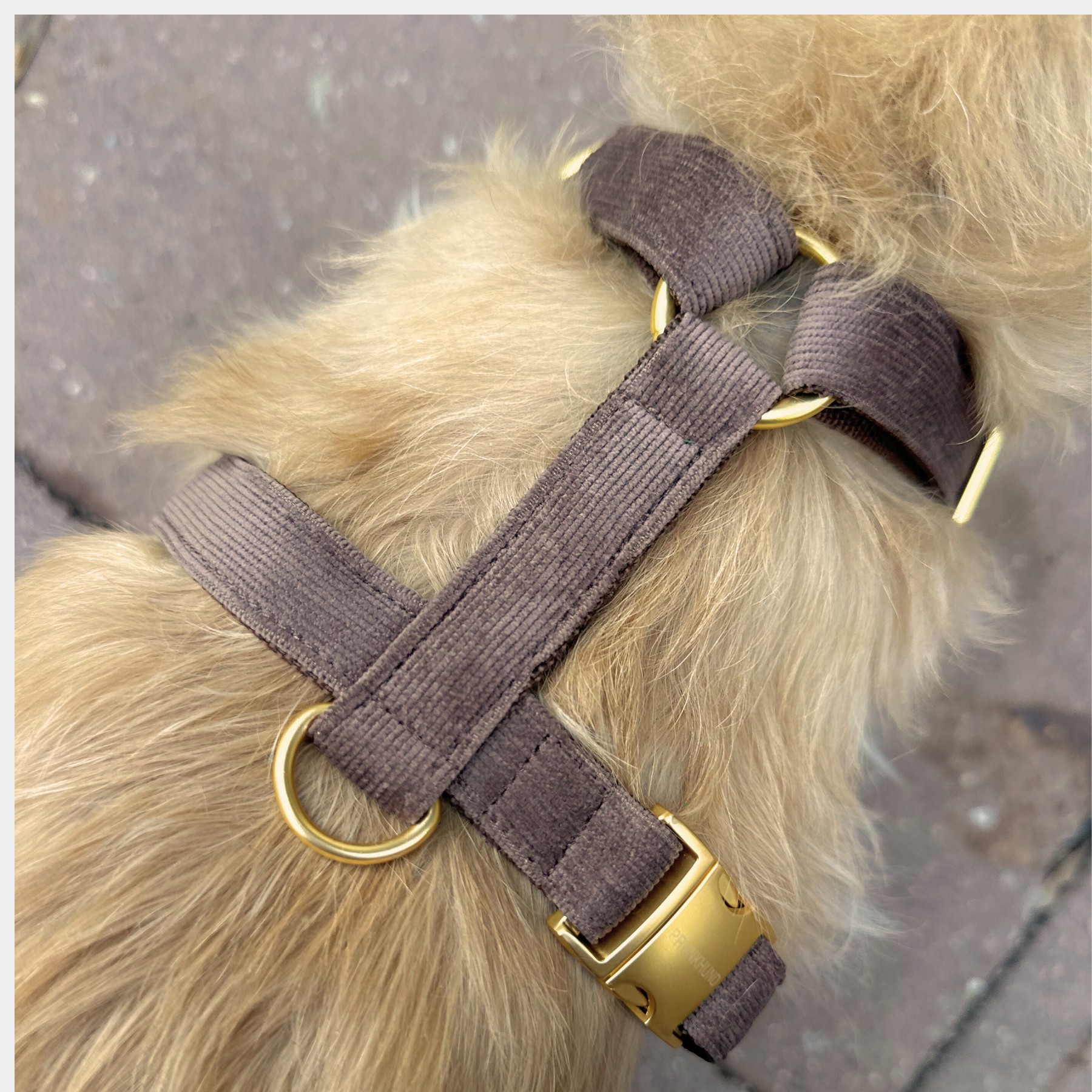 dog harness WINDSOR