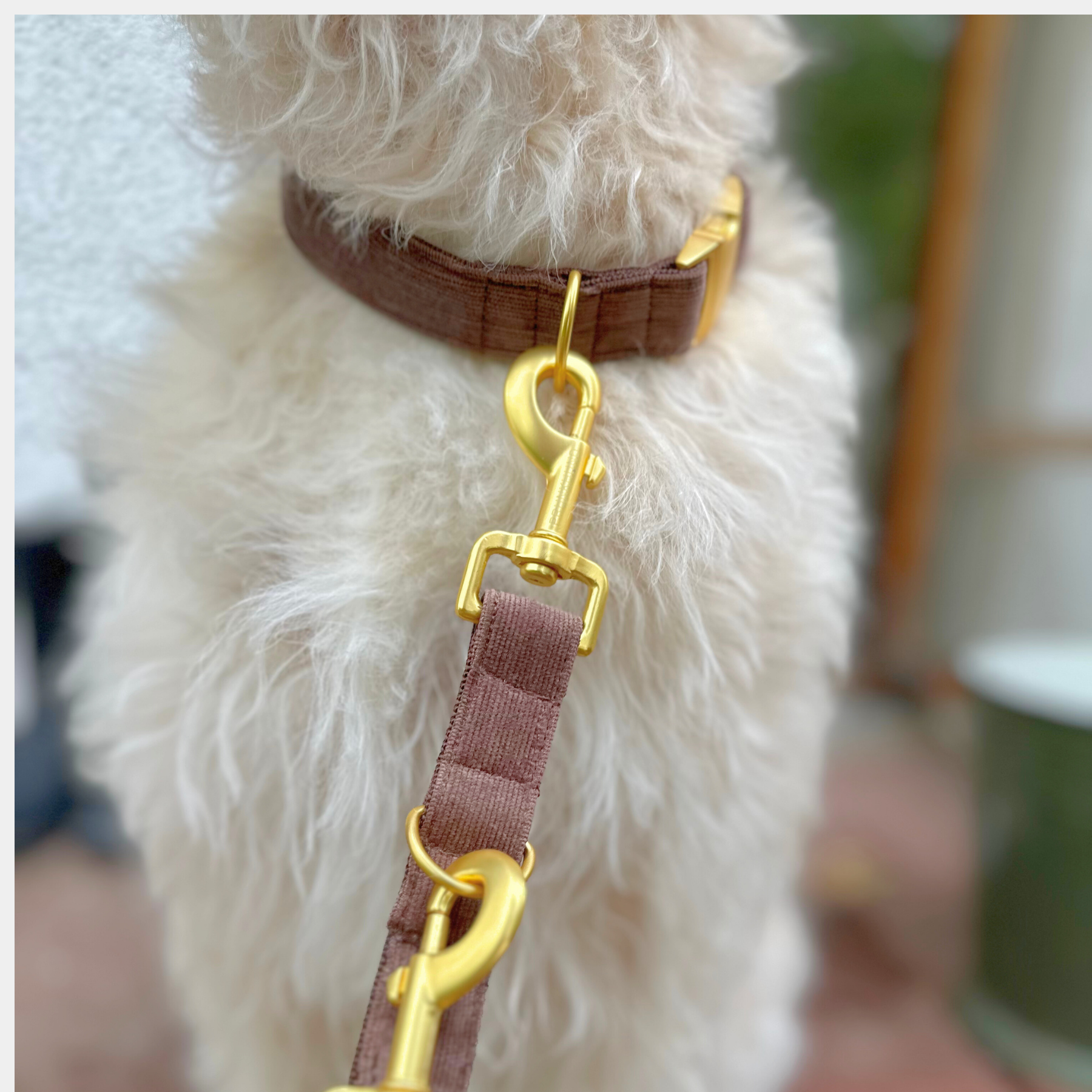 URBAN leash
