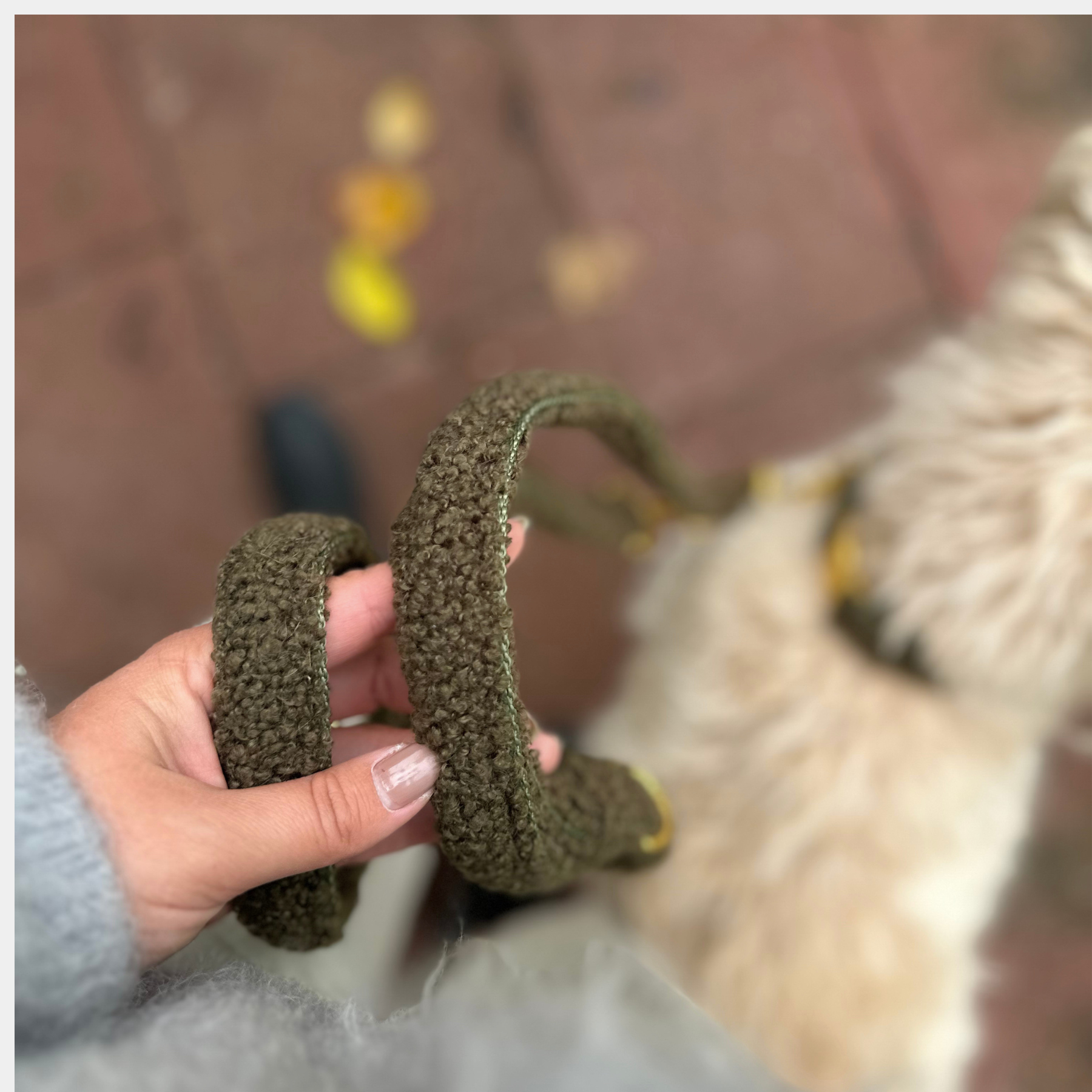 Teddy tan leash