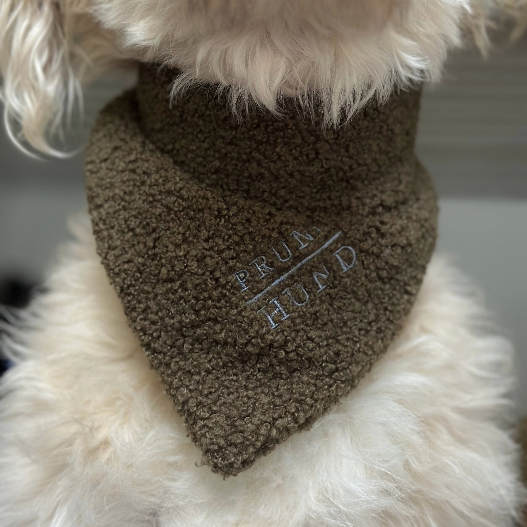 Dog bandana TEDDY tan
