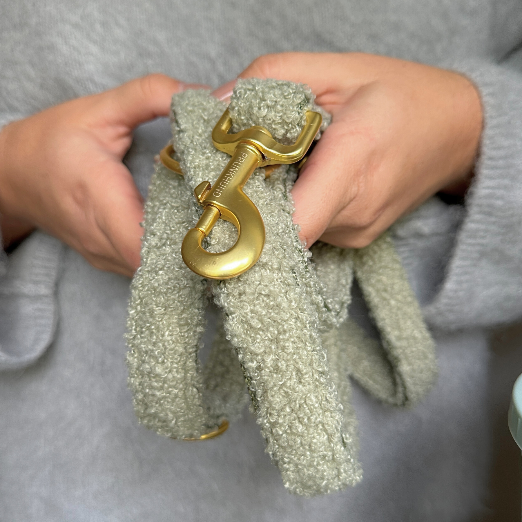 Teddy tan leash