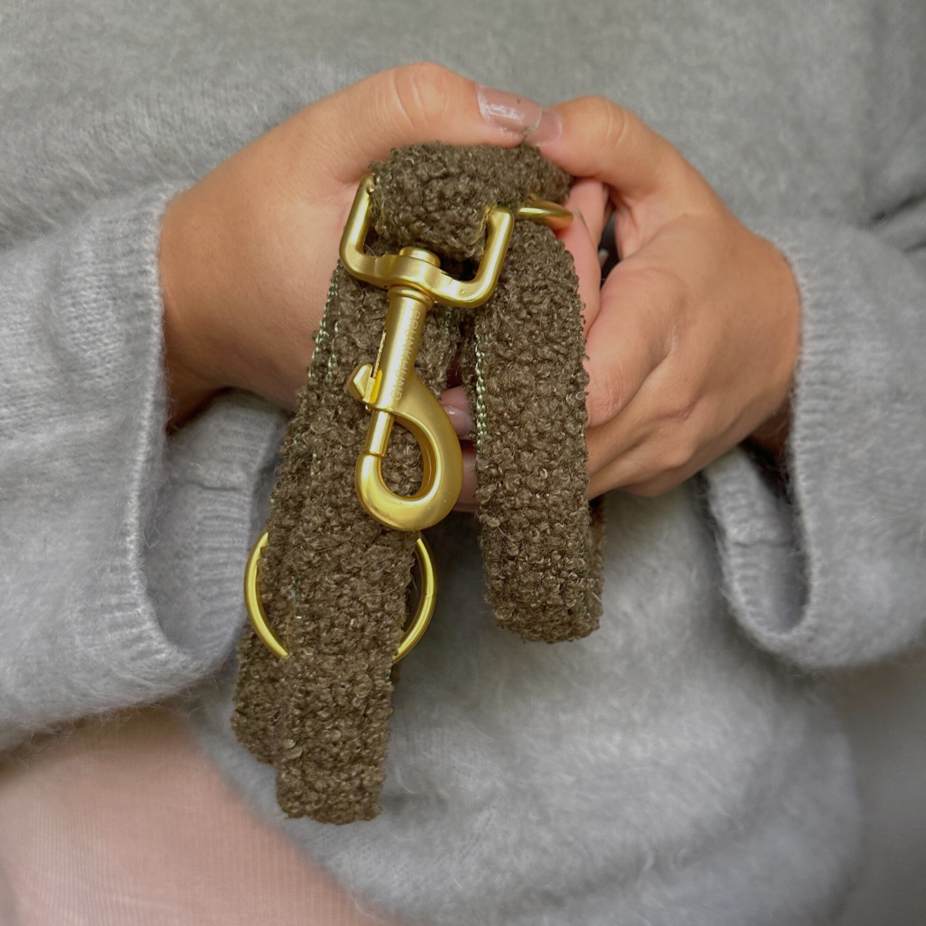 Teddy tan leash
