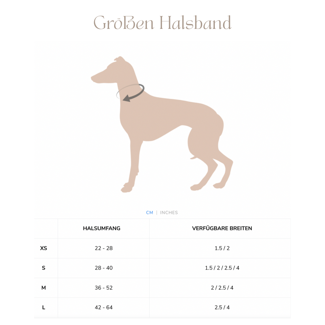PRUNKHUND Oster Wundertüte