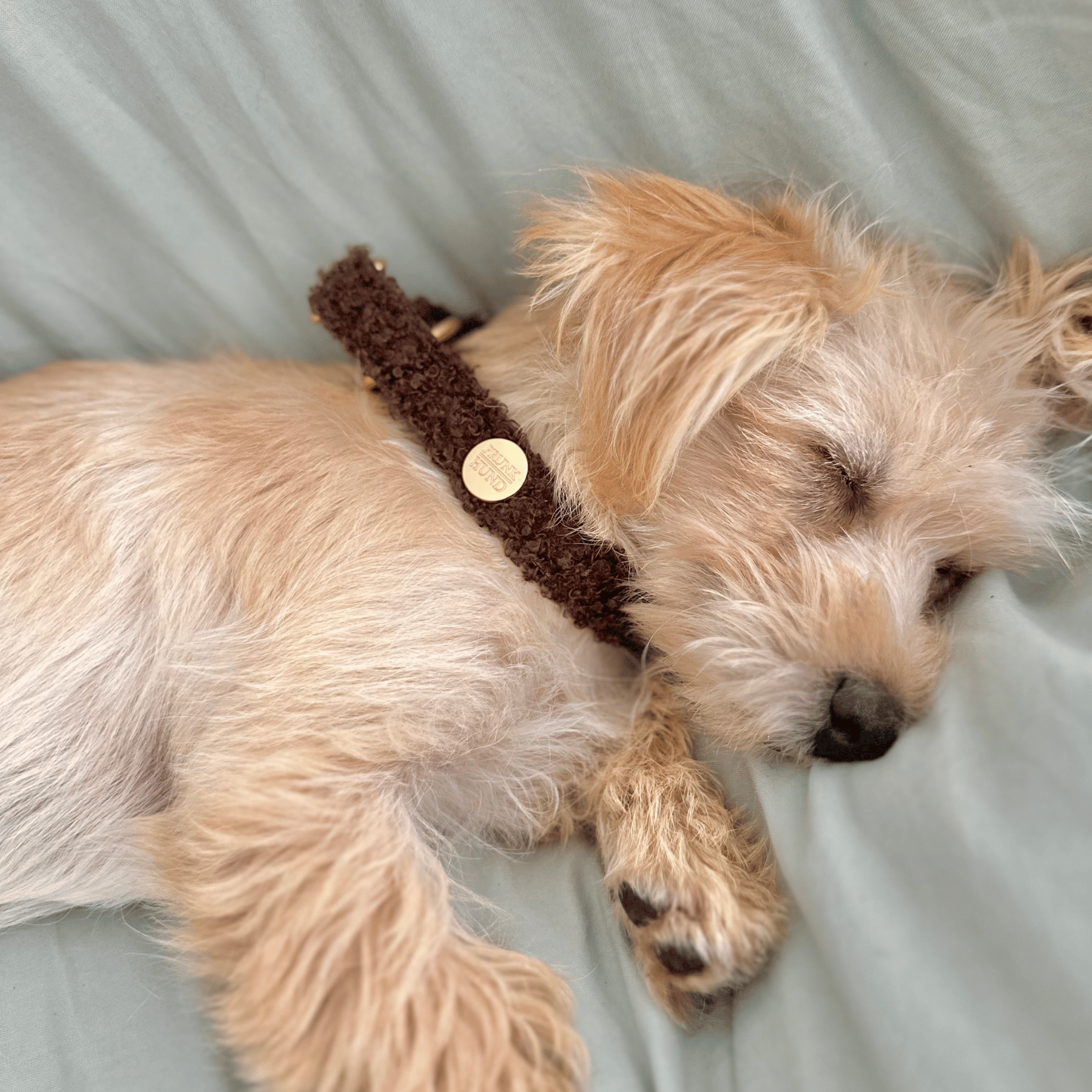 Zugstopp Halsband TEDDY mocca