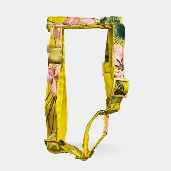 BLOSSOM dog harness