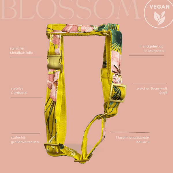 BLOSSOM dog harness