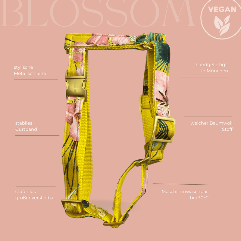 BLOSSOM dog harness
