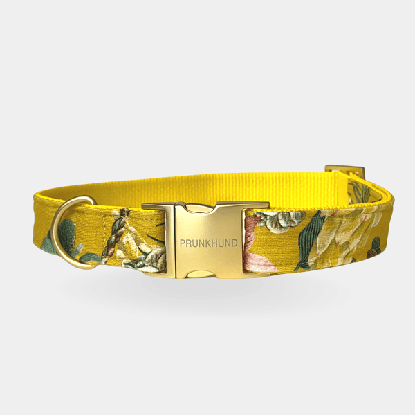 Prunkhund sales dog collars