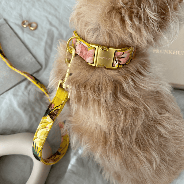 Halsband BLOSSOM