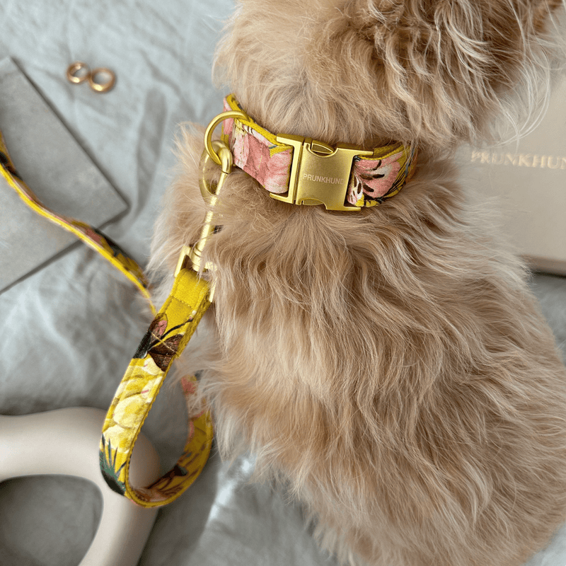 Halsband BLOSSOM