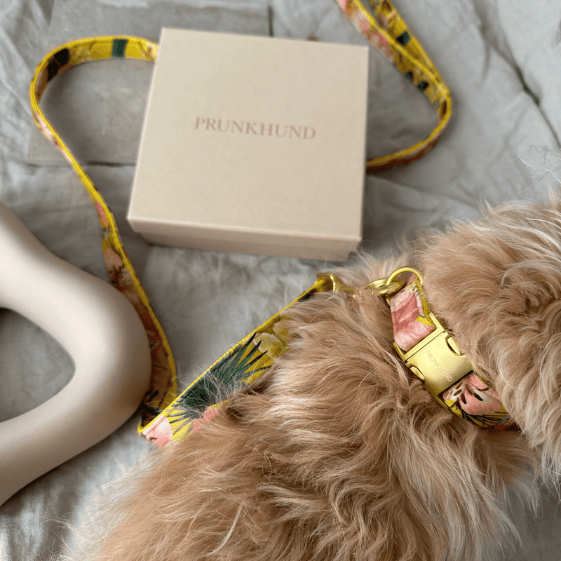 Halsband BLOSSOM