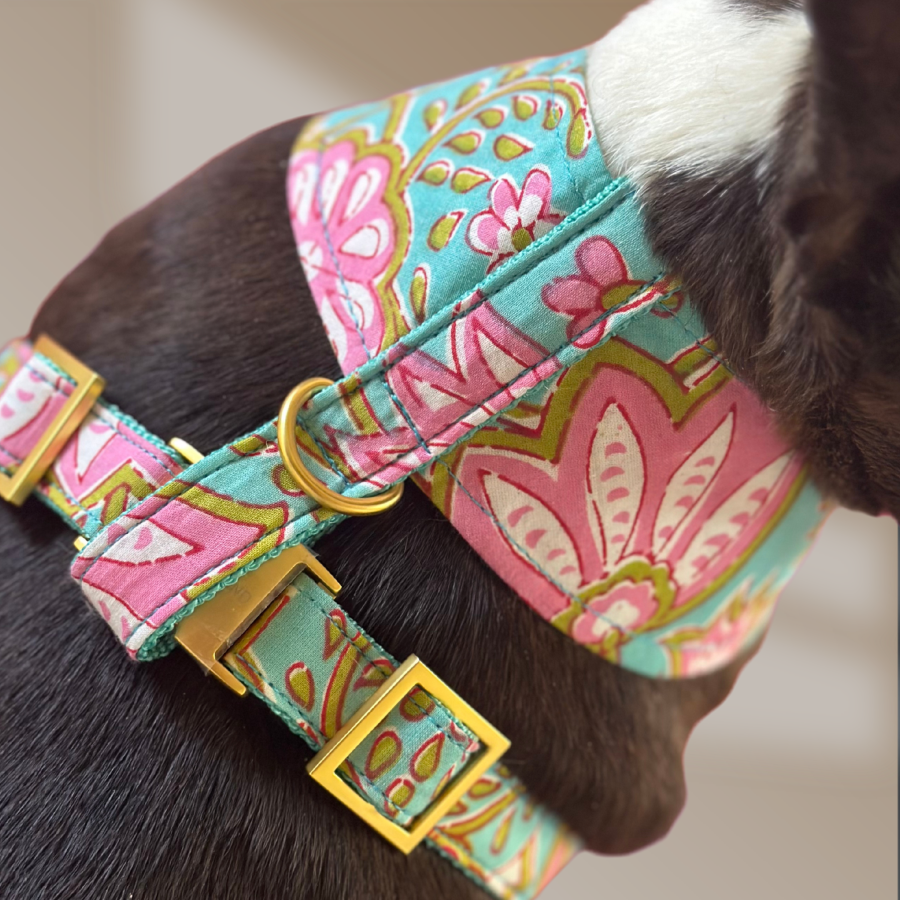 GOA aqua SOFT HARNESS