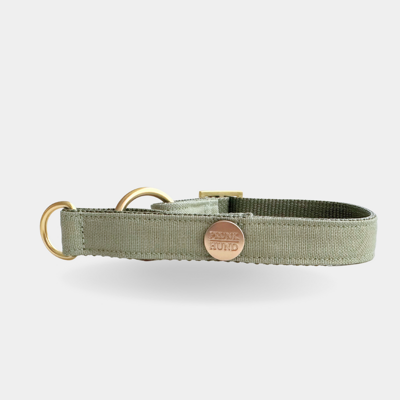 Zugstopp Halsband BASIC olive