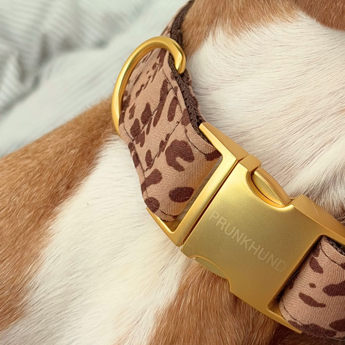 BASIC tan collar