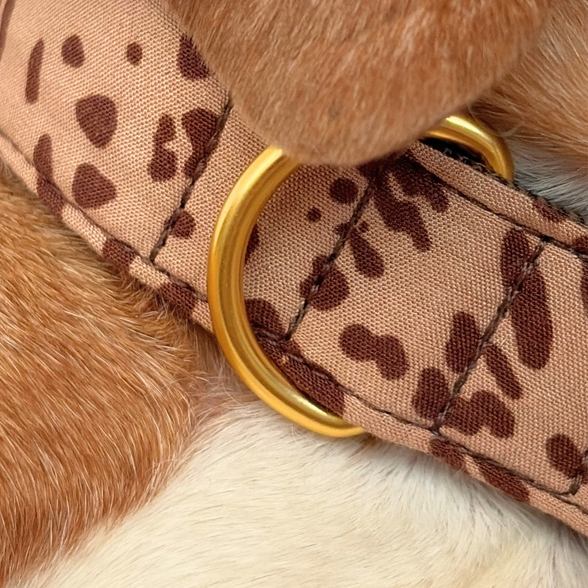 martingale collar SANTA BABY 