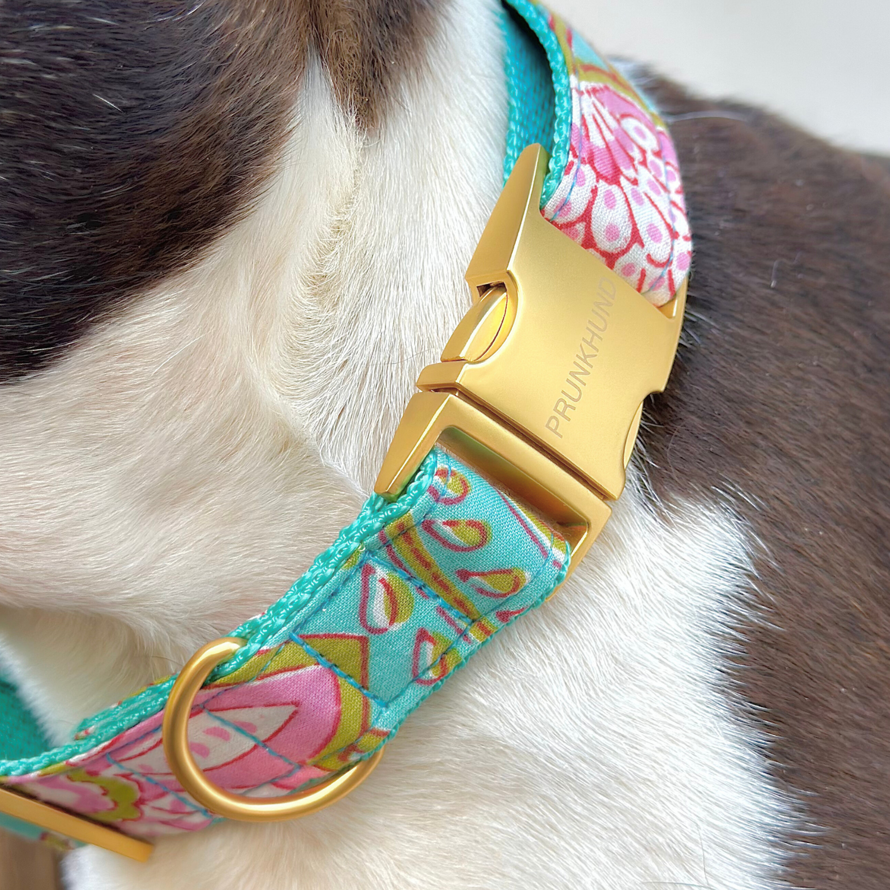 Halsband GOA aqua