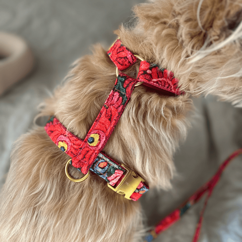 Dog harness BLOOM