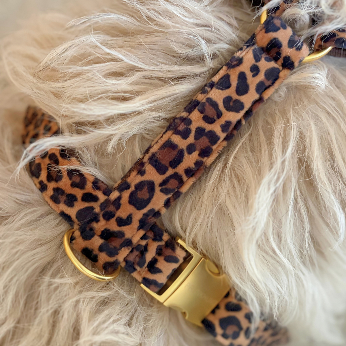 Hundegeschirr WILD VELVET