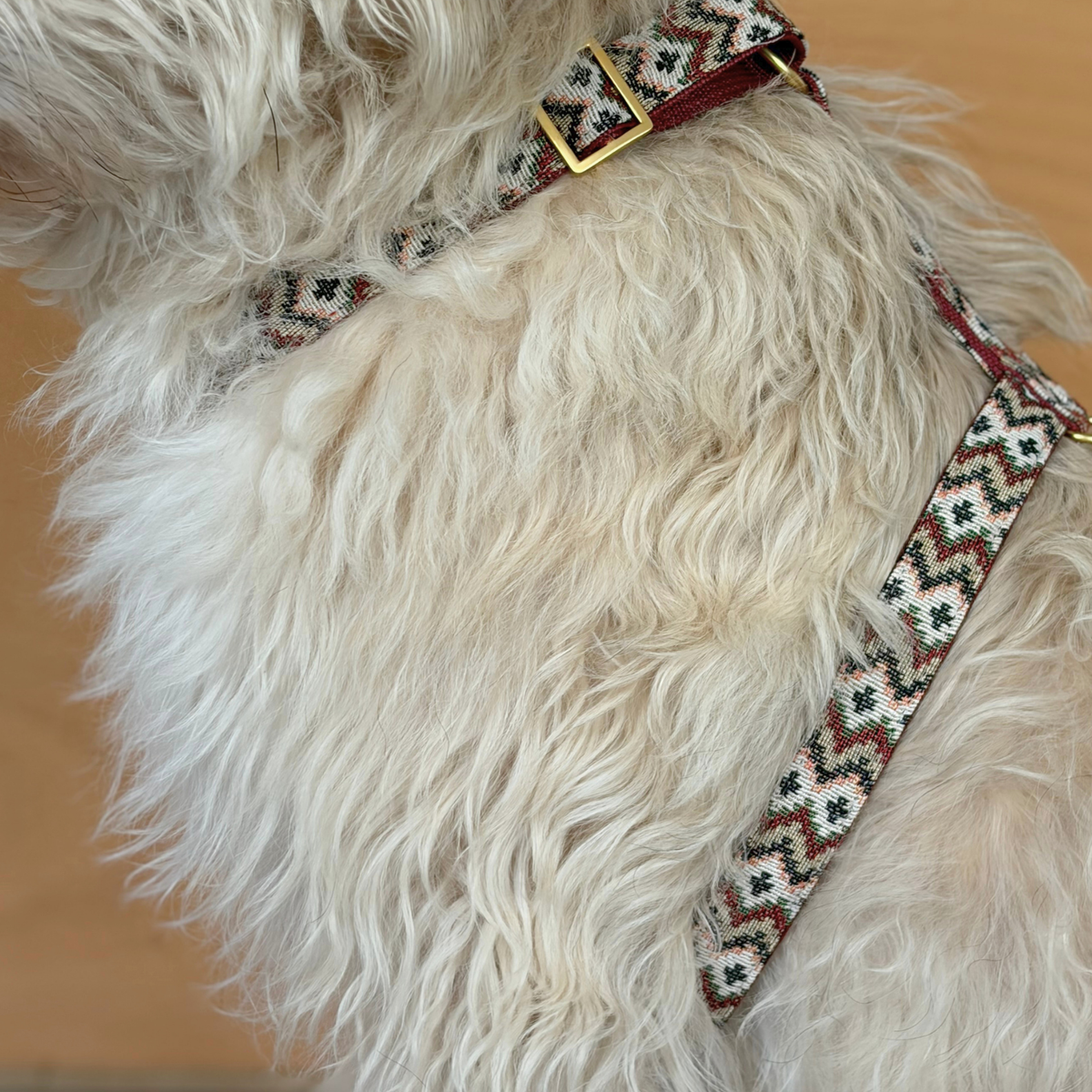 Hundegeschirr ZIGGY