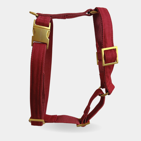 BASIC wine harness