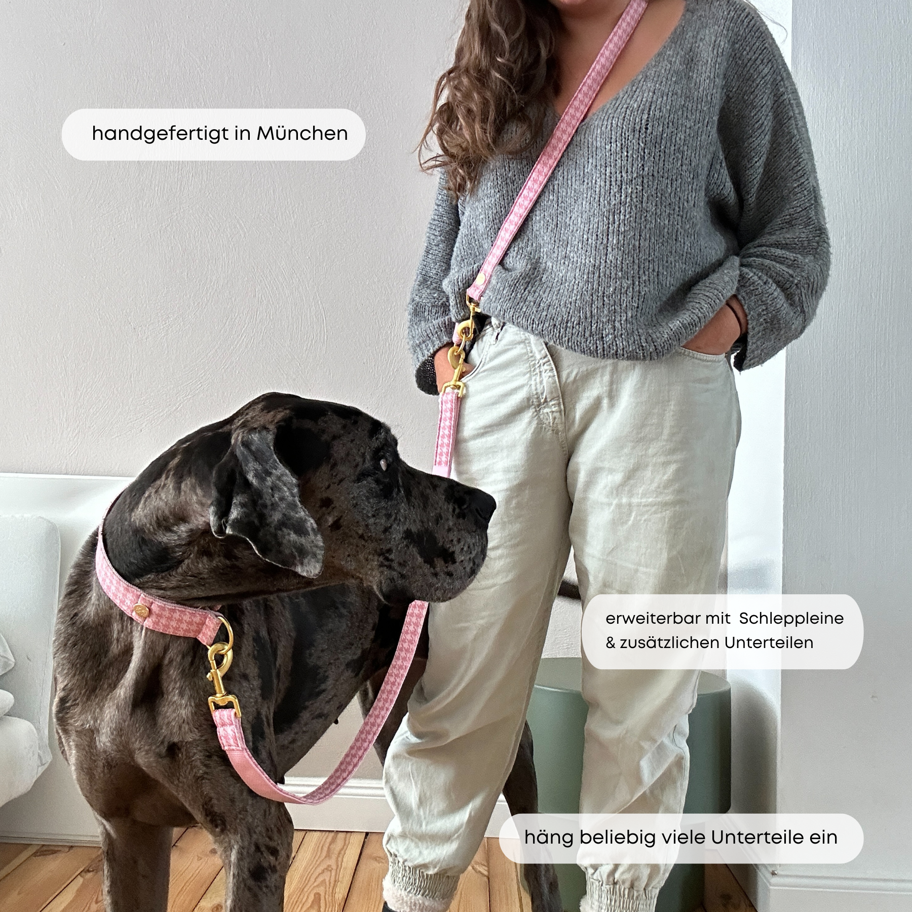ESSENTIAL leash WINDSOR