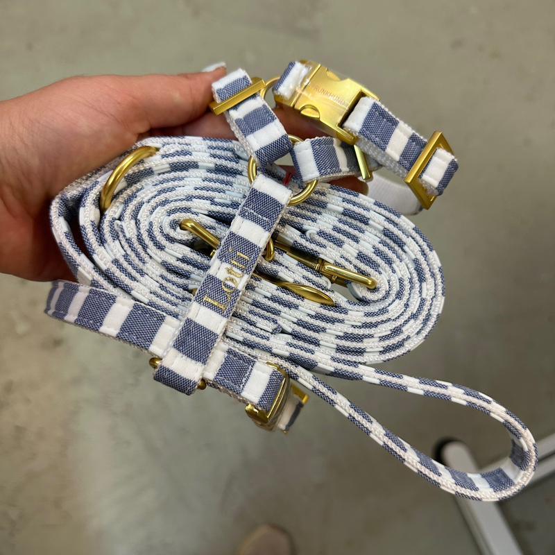 dog harness LIDO BLUE