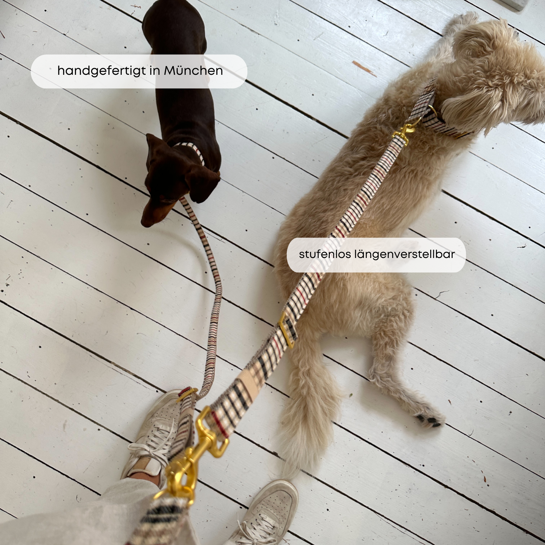 ESSENTIAL additional leash CLASSIC