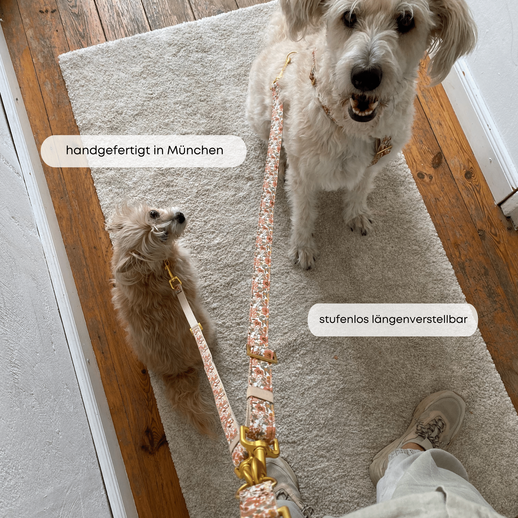 ESSENTIAL additional leash FIORE