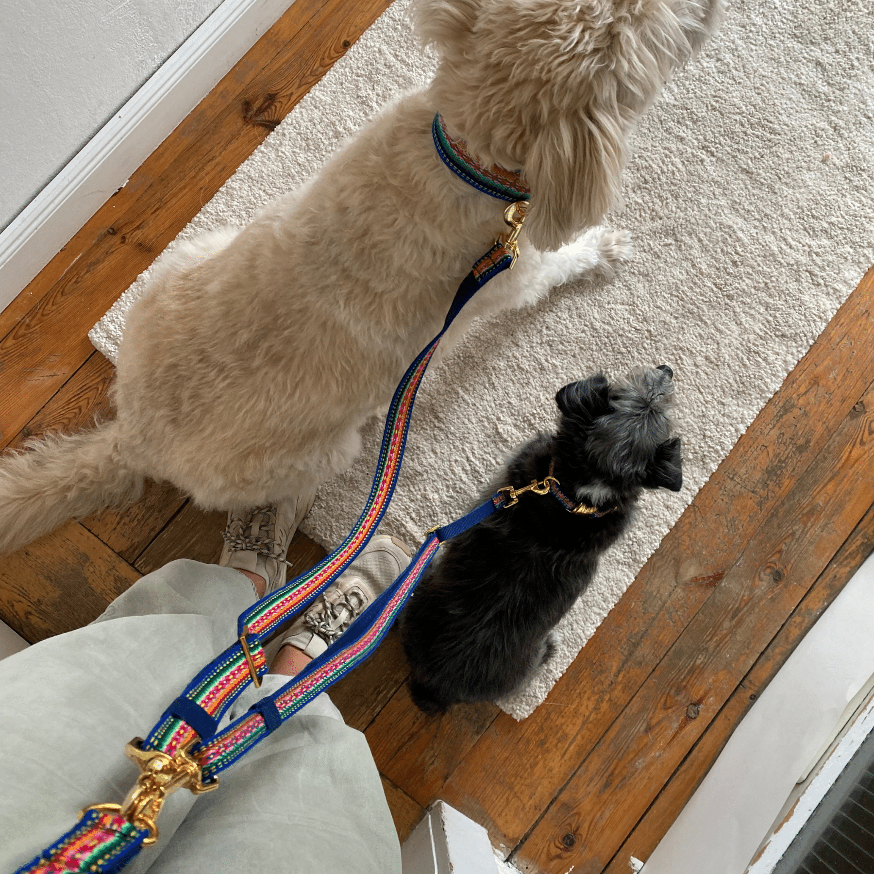 ESSENTIAL additional leash IBIZA blue