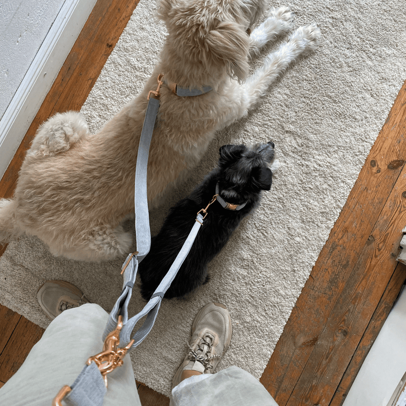 ESSENTIAL additional leash DOVE