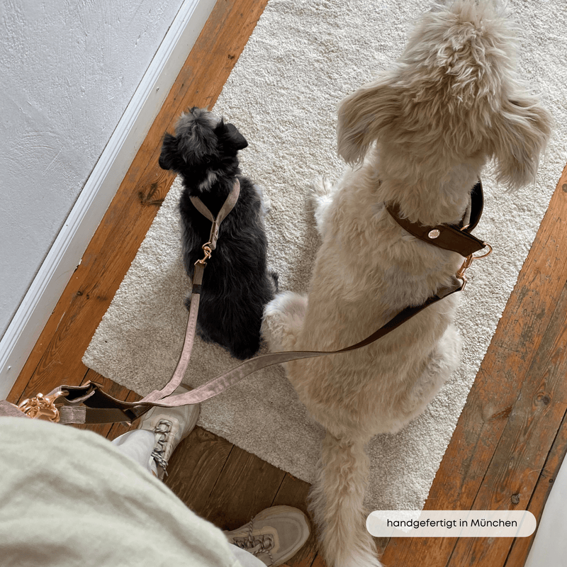 ESSENTIAL additional leash MOCCA