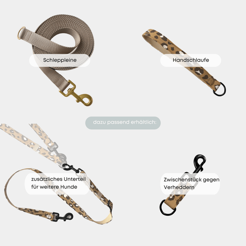 ESSENTIAL leash ROAR
