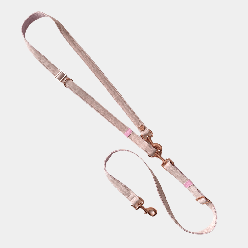 ESSENTIAL leash BABE