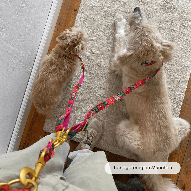 ESSENTIAL additional leash BLOOM