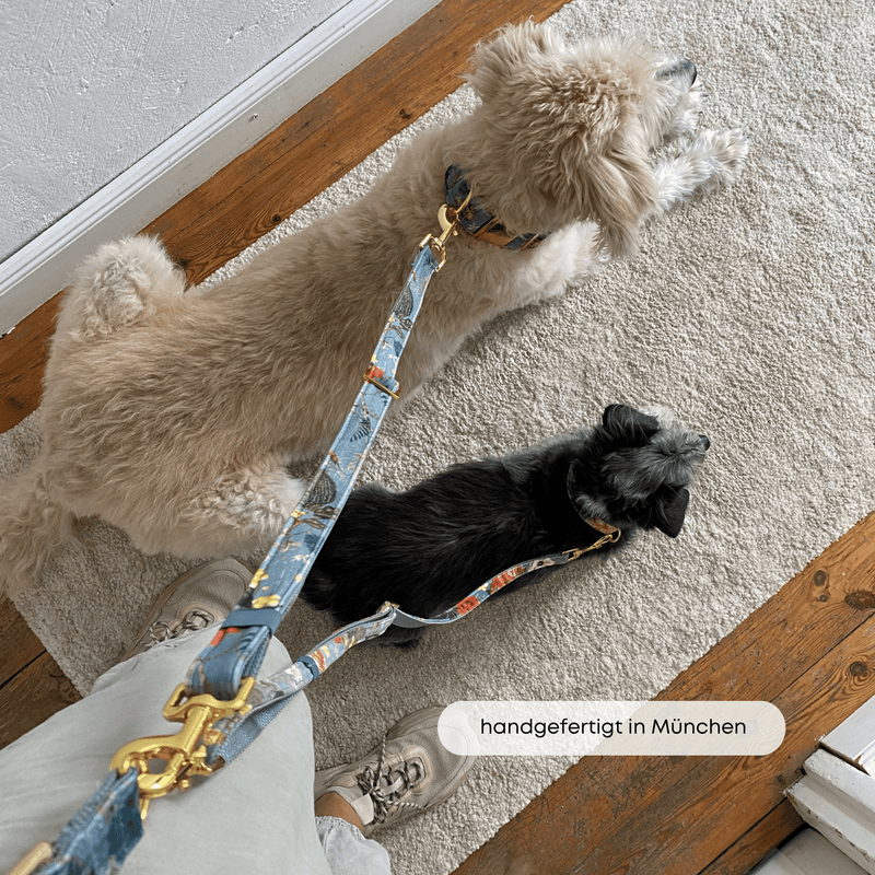 ESSENTIAL additional leash EDEN DUSK