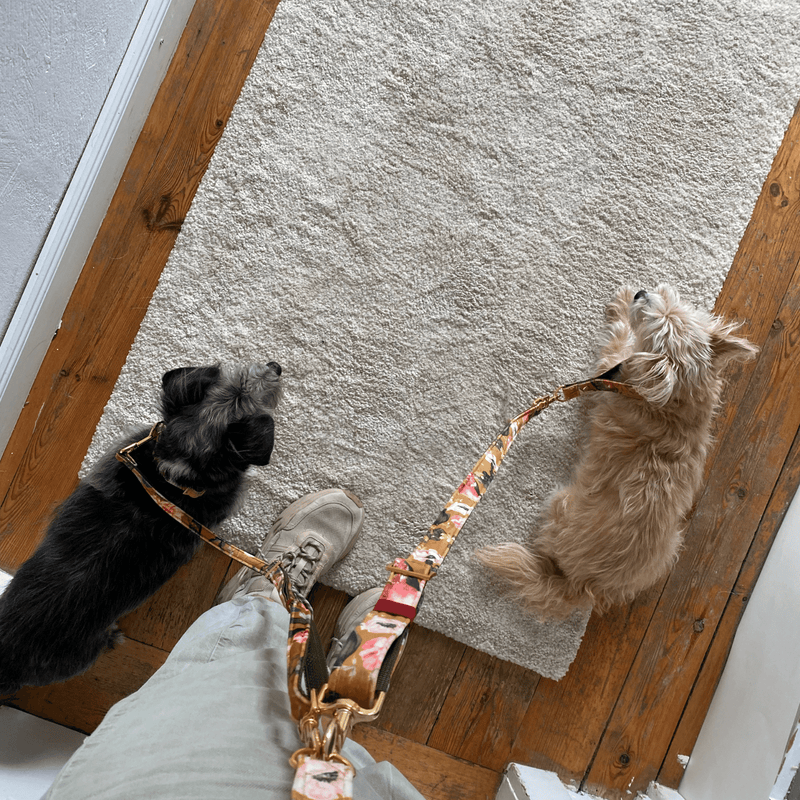 ESSENTIAL Zusatz Unterteil EDEN DAY
