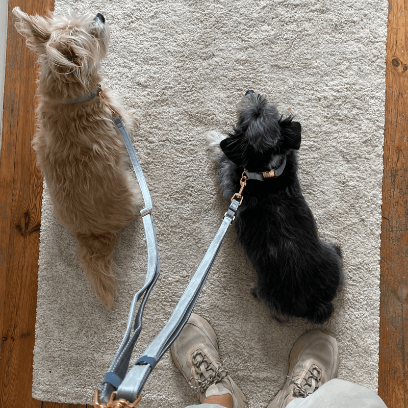 ESSENTIAL additional leash MOON SHADOW