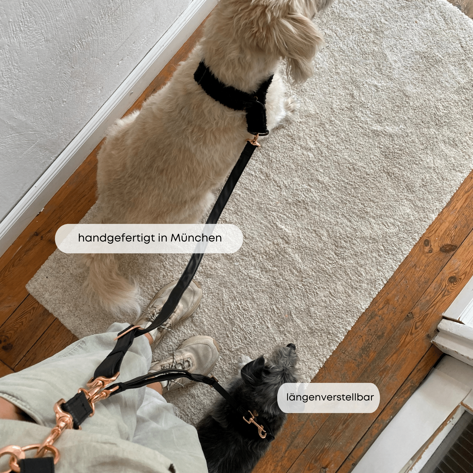 ESSENTIAL additional leash ECLIPSE