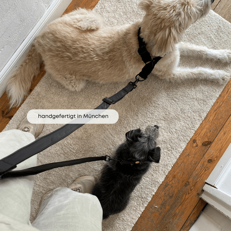 ESSENTIAL additional leash DARK