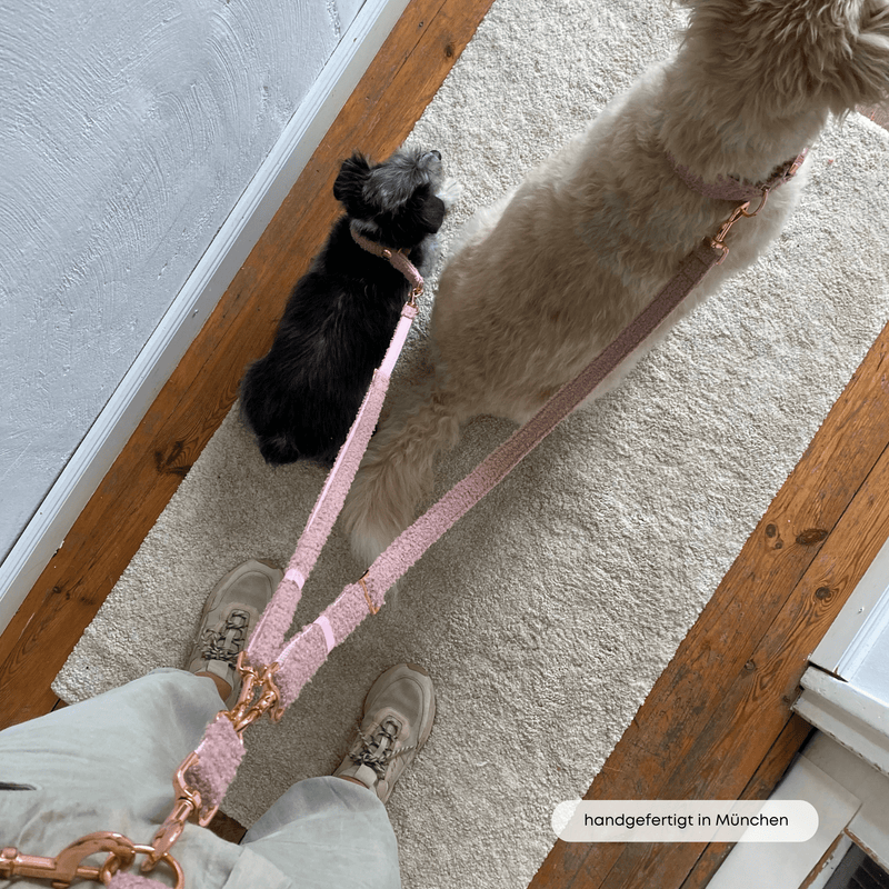 ESSENTIAL additional leash TEDDY blush