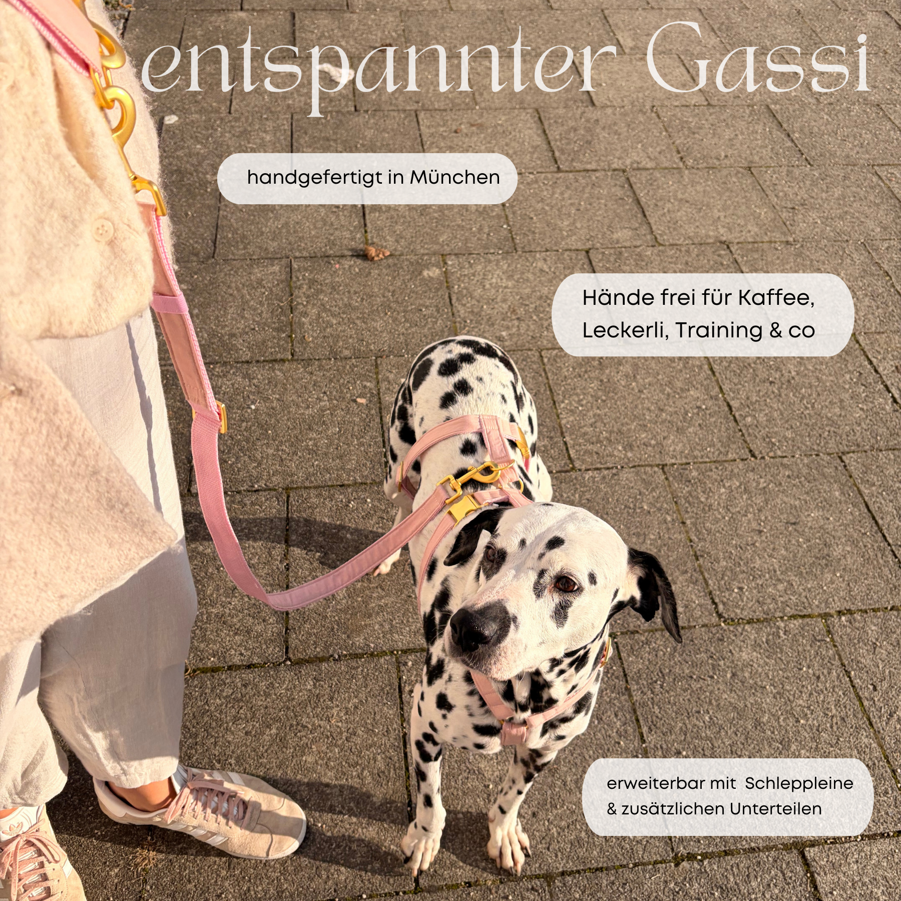 ESSENTIAL leash BASIC tan