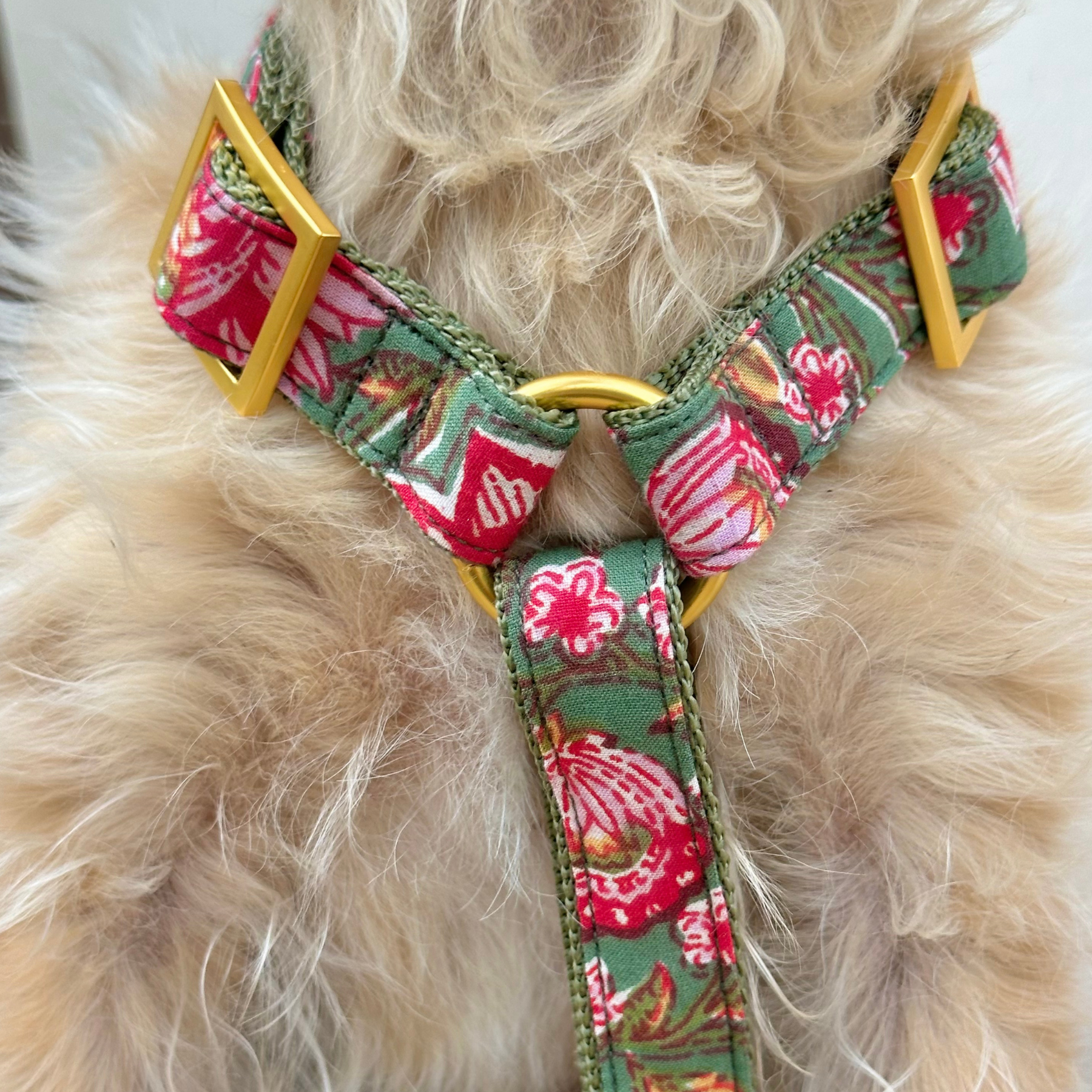 dog harness GOA garden