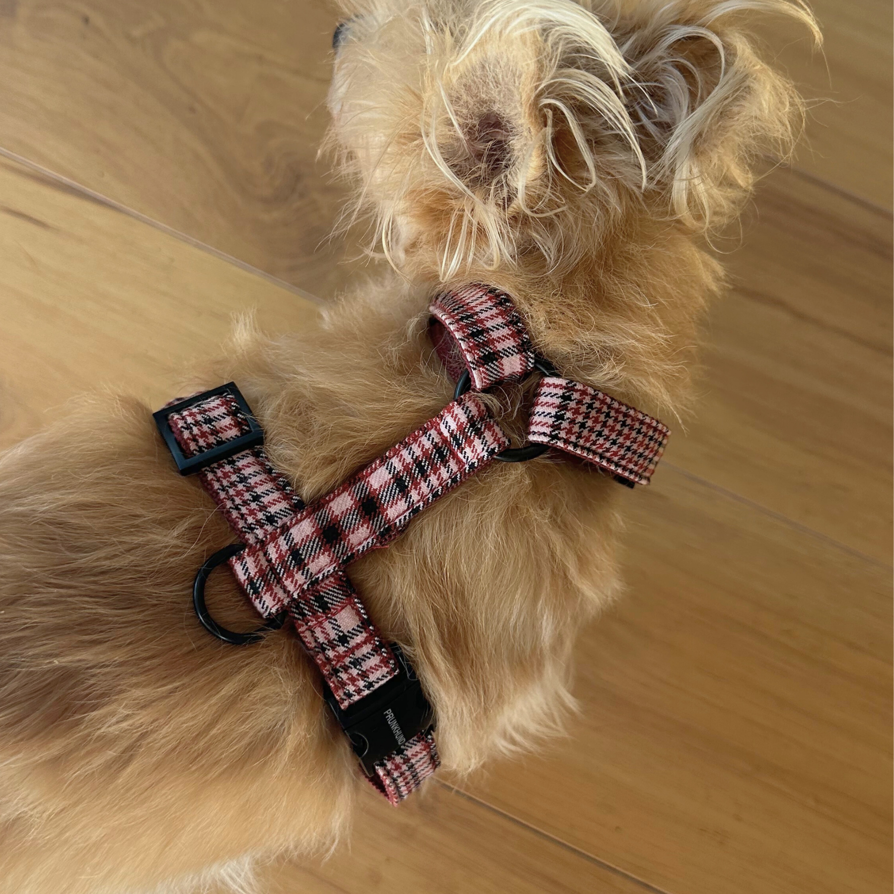 dog harness URBAN