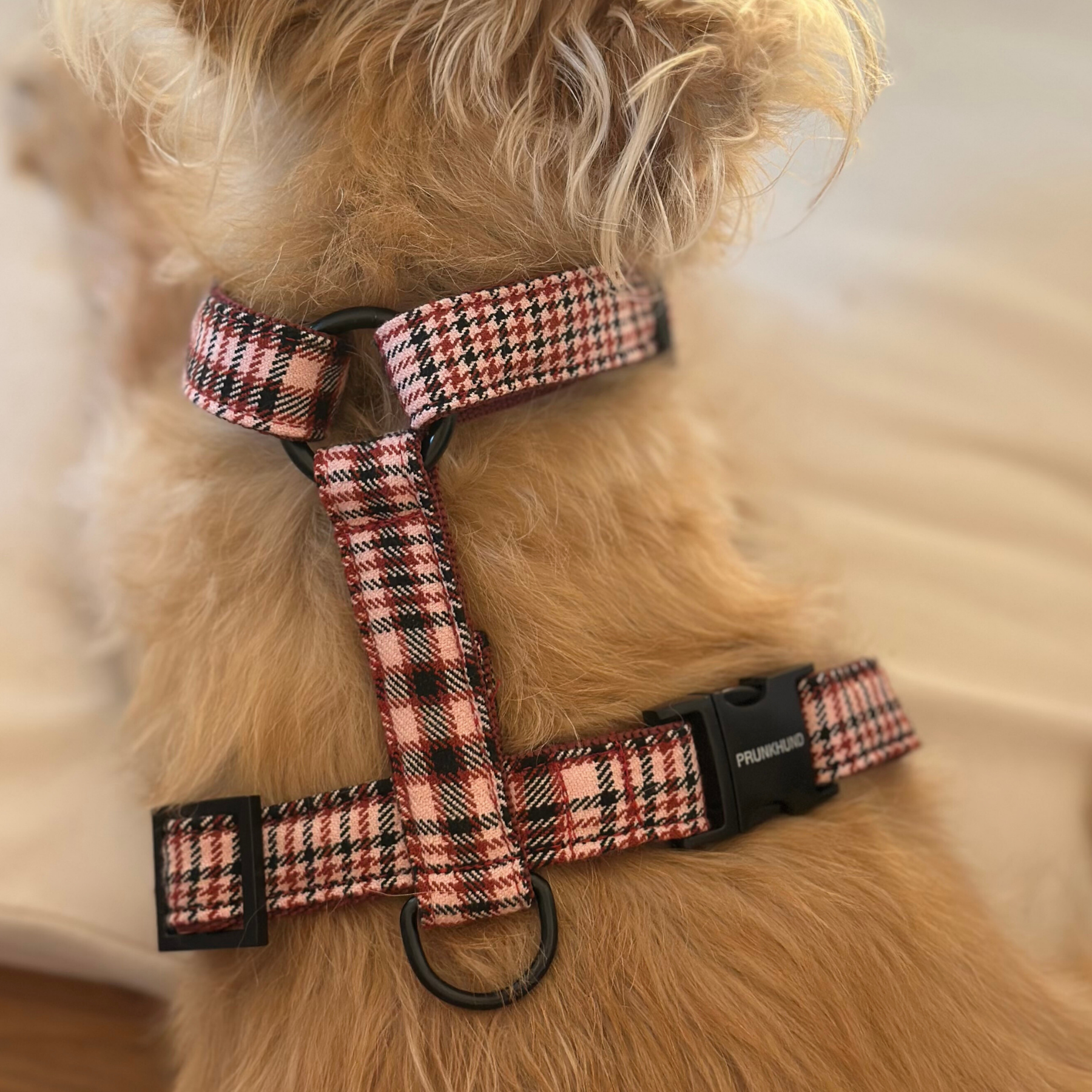 dog harness URBAN