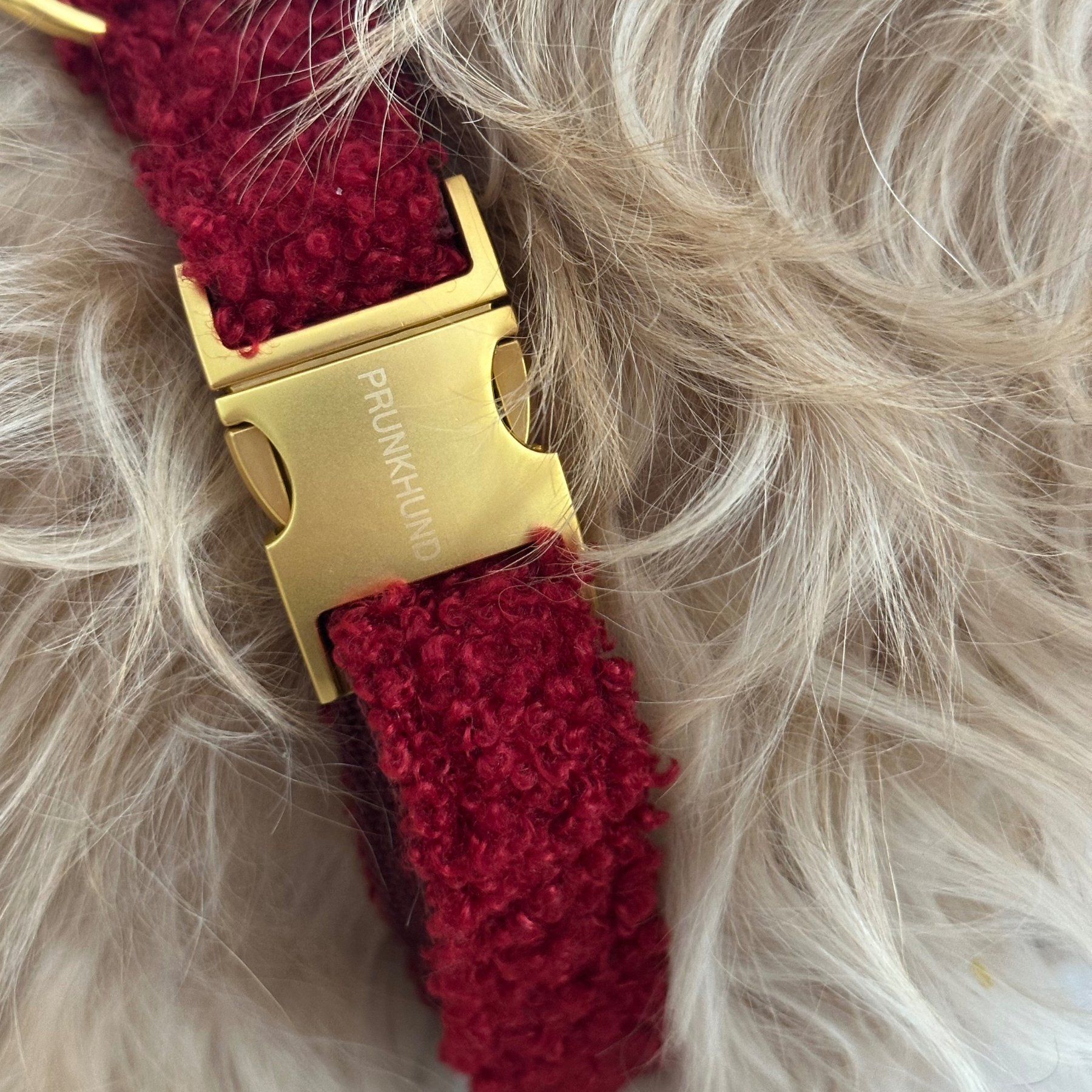 dog harness TEDDY tan